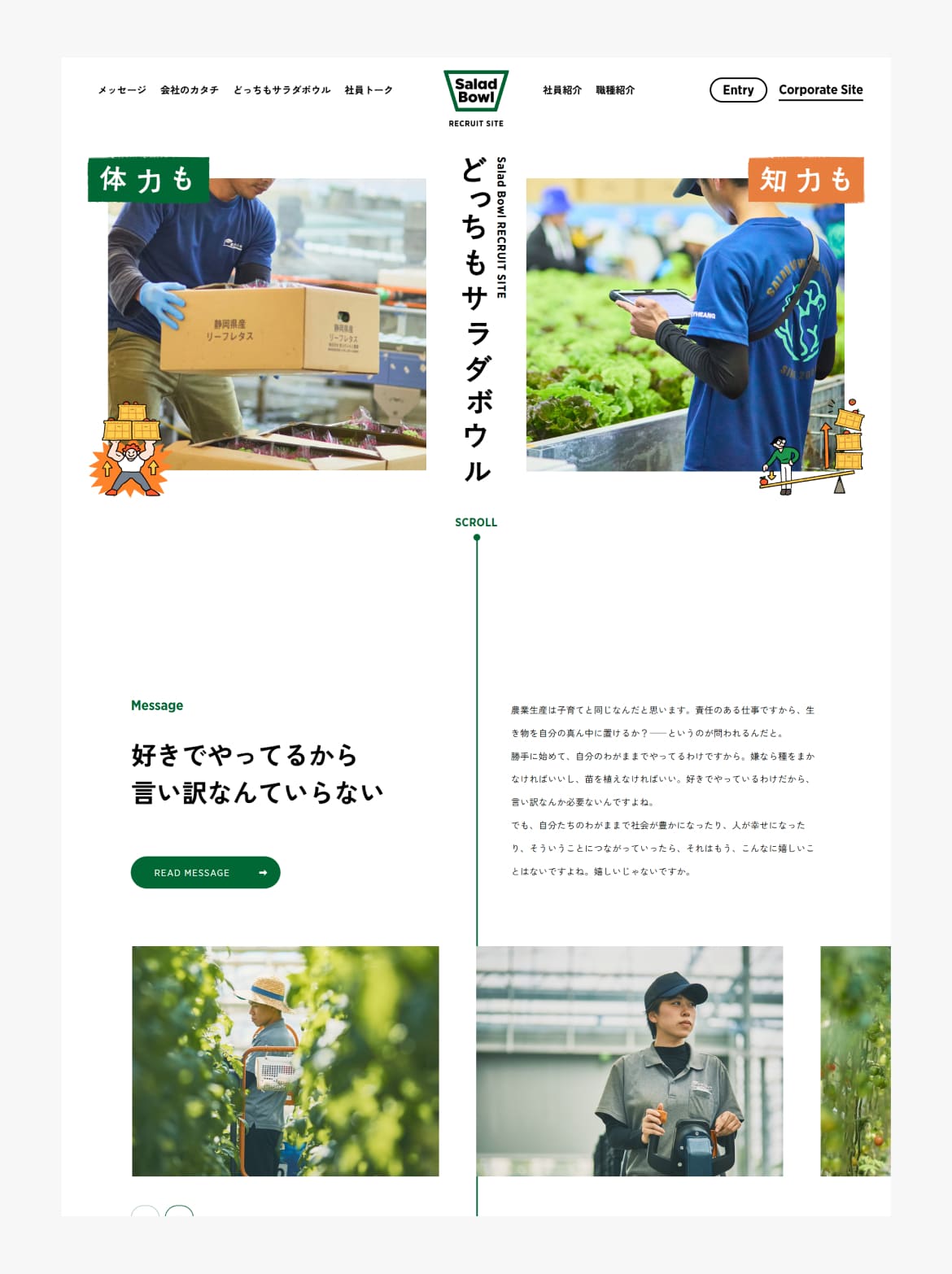 農業法人サラダボウル