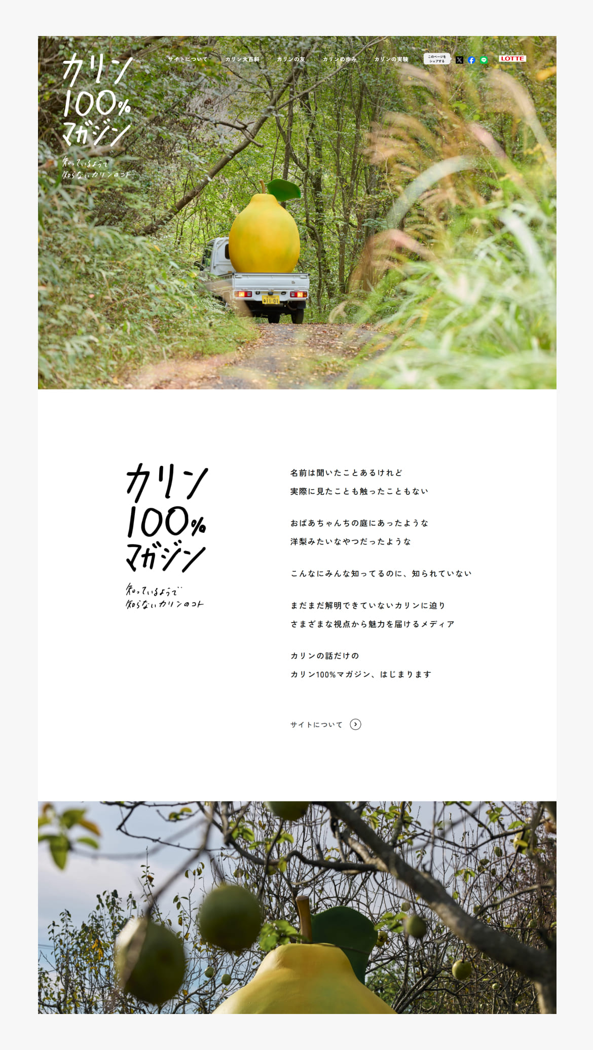 カリン100%マガジン