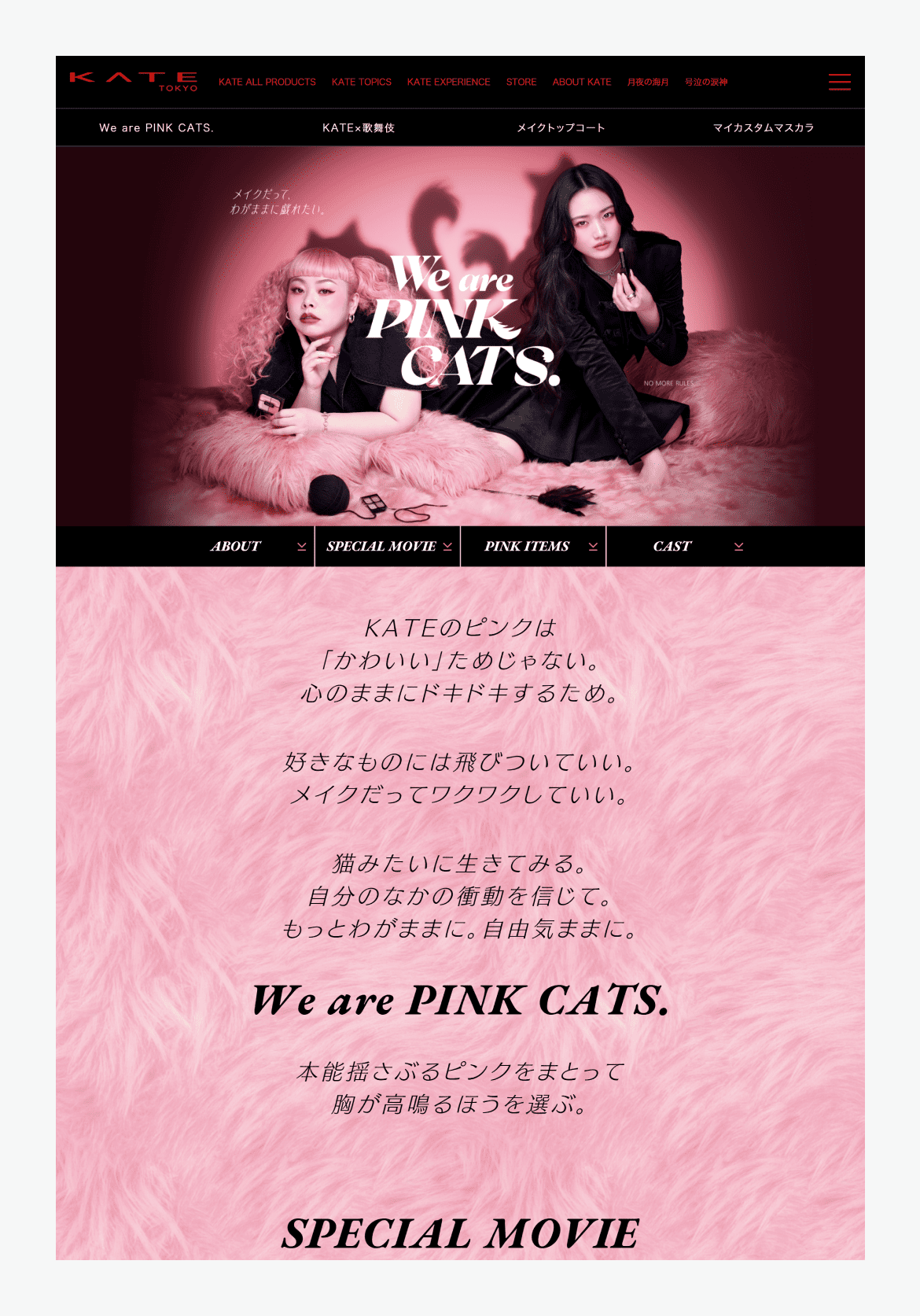KATE | We are PINK CATS.
