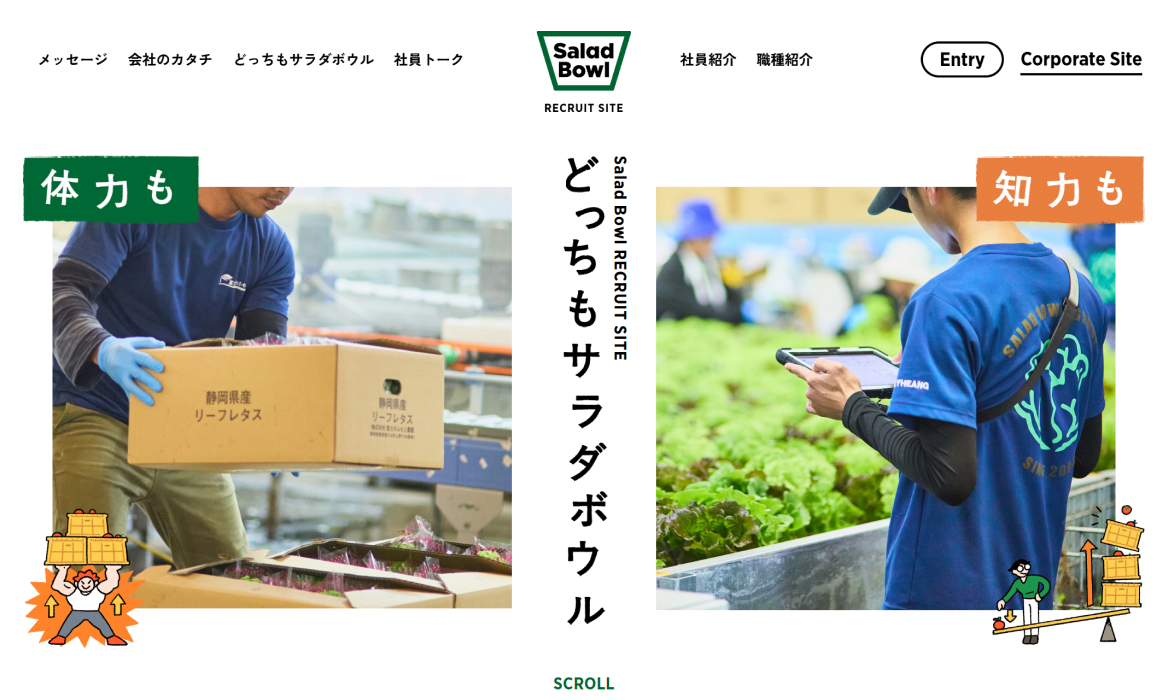リクルートサイト | 農業法人サラダボウル