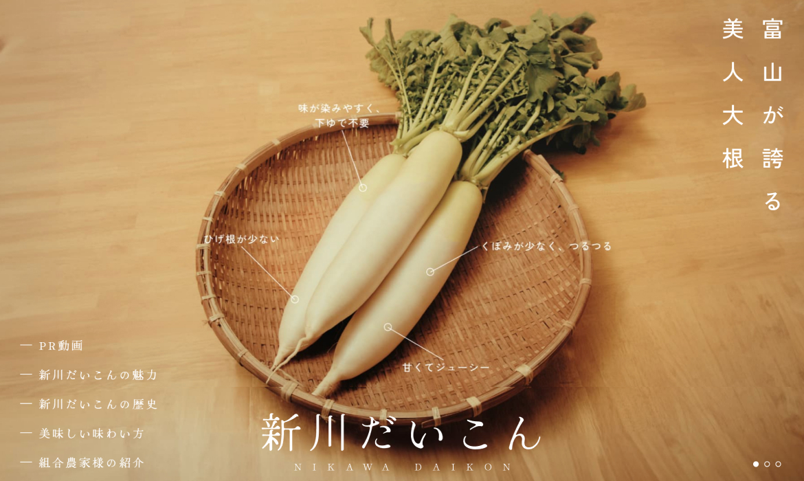 新川だいこん